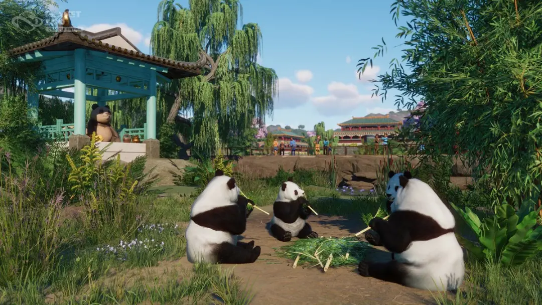 Plaion Planet Zoo Console Edition Xbox Series X