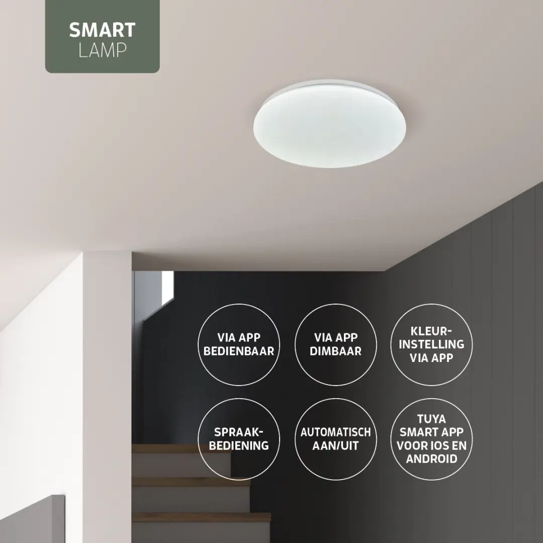 Varin Smart Plafondlamp LED Ø21cm - RGBW - Tuya/WiFi - Google Home/Alexa