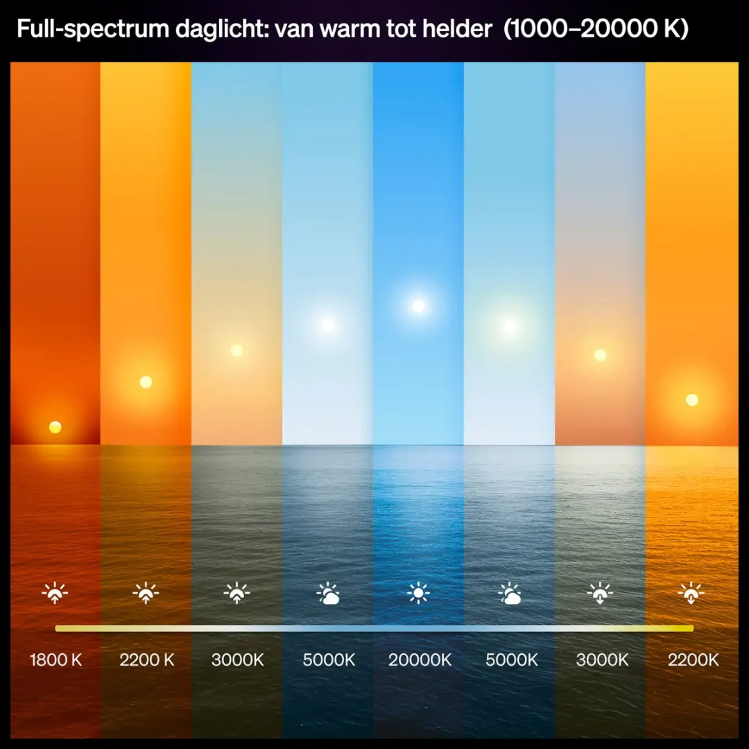 Philips Hue GU10 Inbouwspot RGBW - Zwart - 12W - IP44