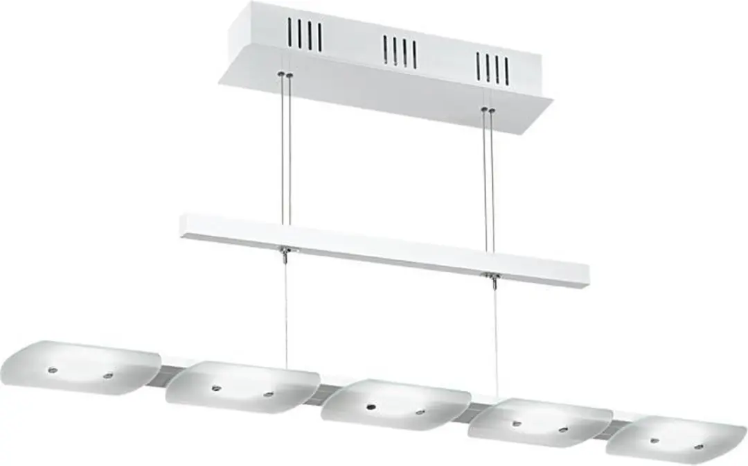 Eglo Tight Hanglamp 5 Lichtpunten