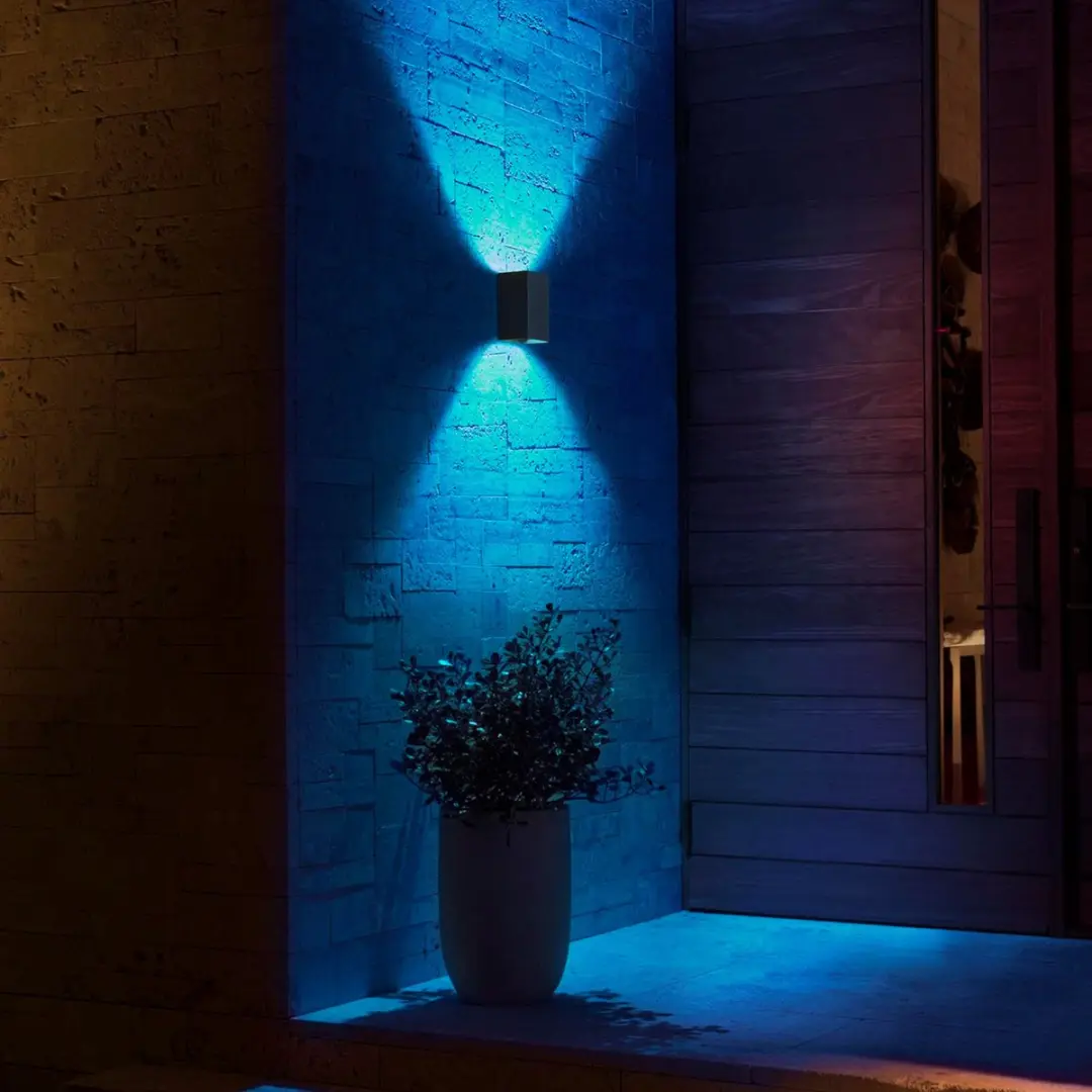 Philips Hue Resonate Wandlamp Up & Down - 2 Stuks - Zwart