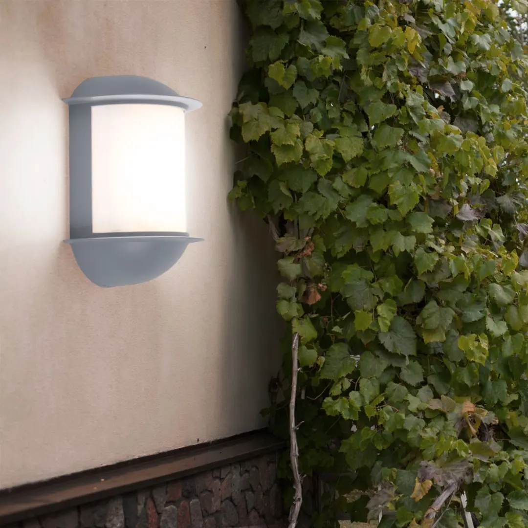 Eglo 78059 Wandlamp Buiten - 7W 550lm Zilver - afbeelding 3 van 6