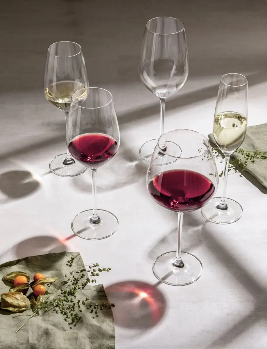 Schott Zwiesel Fortissimo 12-delige Wijnglazen Set - 12 Stuks