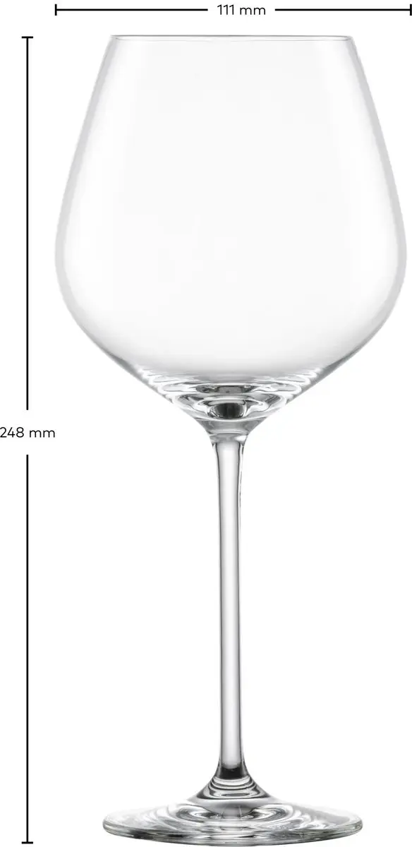 Schott Zwiesel Fortissimo 12-delige Wijnglazen Set - 12 Stuks