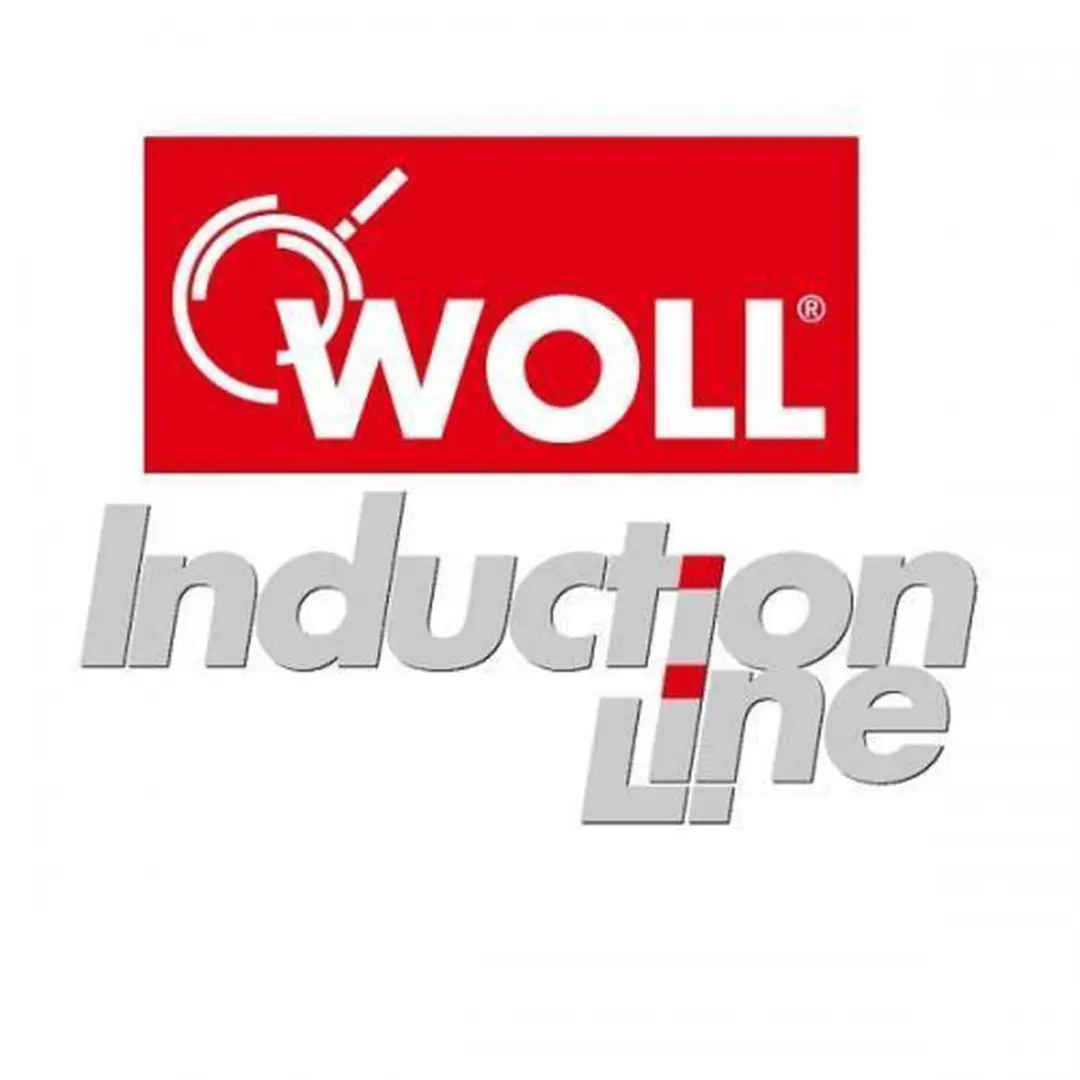 Woll Induction Line Koekenpan 24cm - Grijs