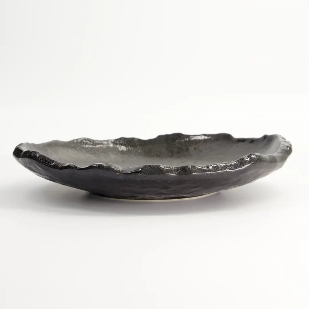 Tokyo Design Studio Mino Craft Groot Rond Bord - 26,5x24x4,5cm - Zwart