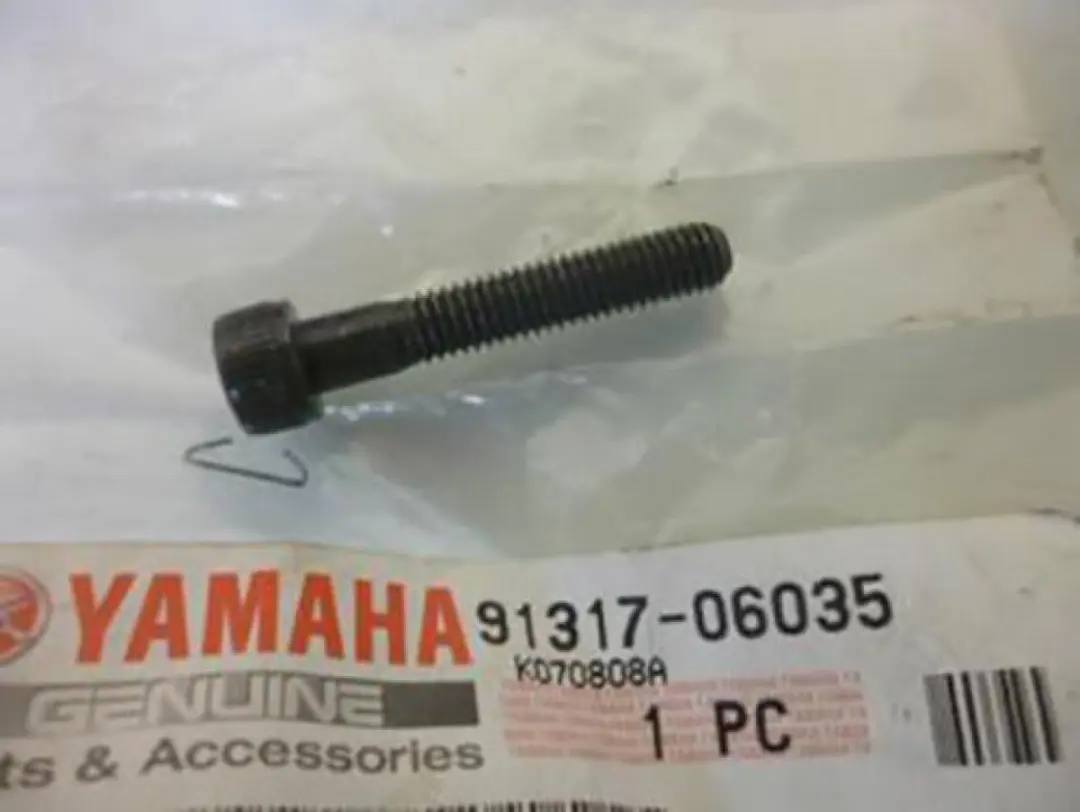 Yamaha 1100 Virago Bouten 91317-06035