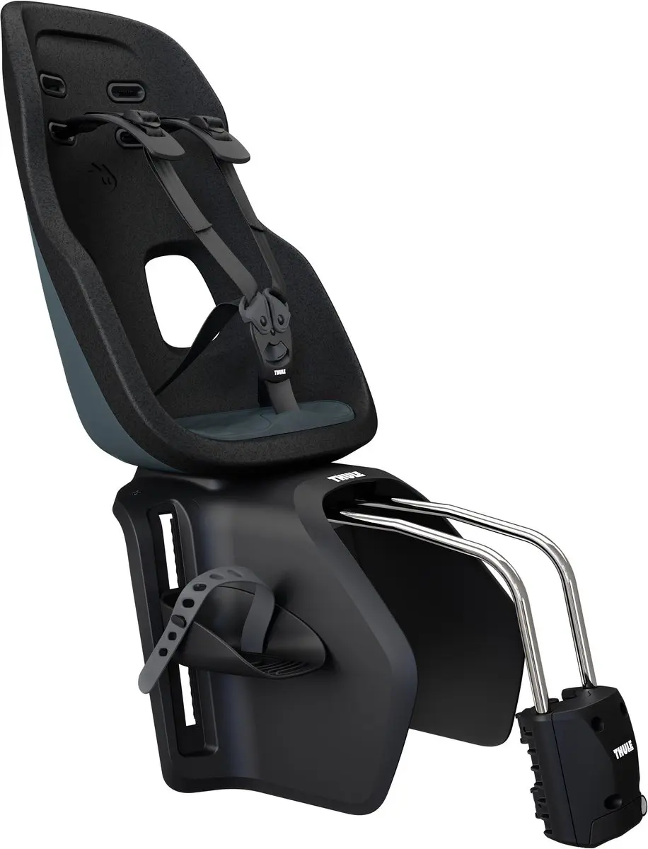 Thule Yepp Nexxt 2 Maxi Fietsstoeltje