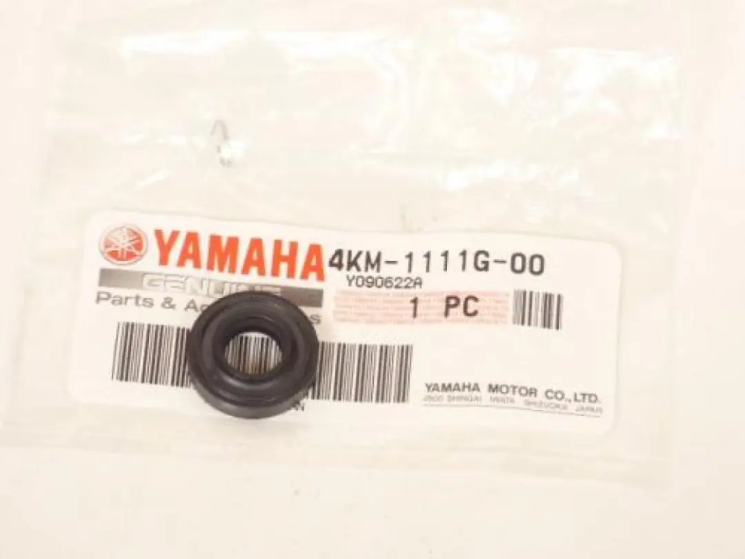 Yamaha 900 Diversion 1998 Bouten & Moeren Set