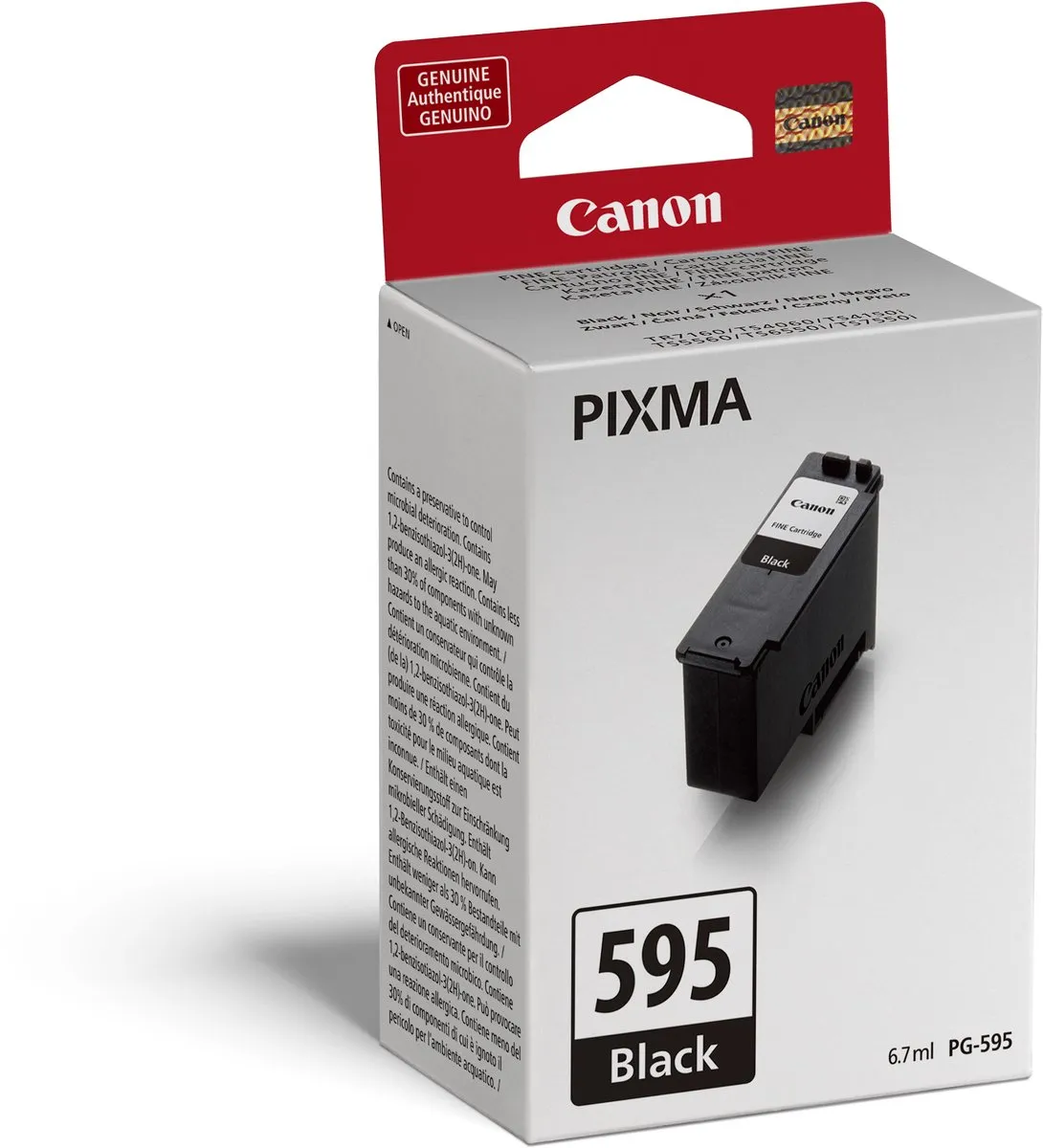Canon PG-595 Inktpatroon - Zwart