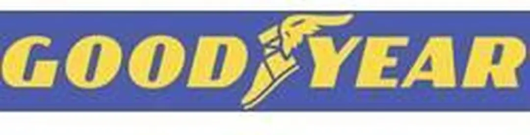 Goodyear Flexo Wieldoppen R15 - 4 Stuks