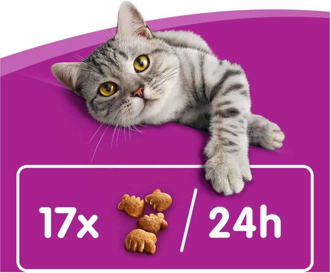 Whiskas Dentabites - Kip
