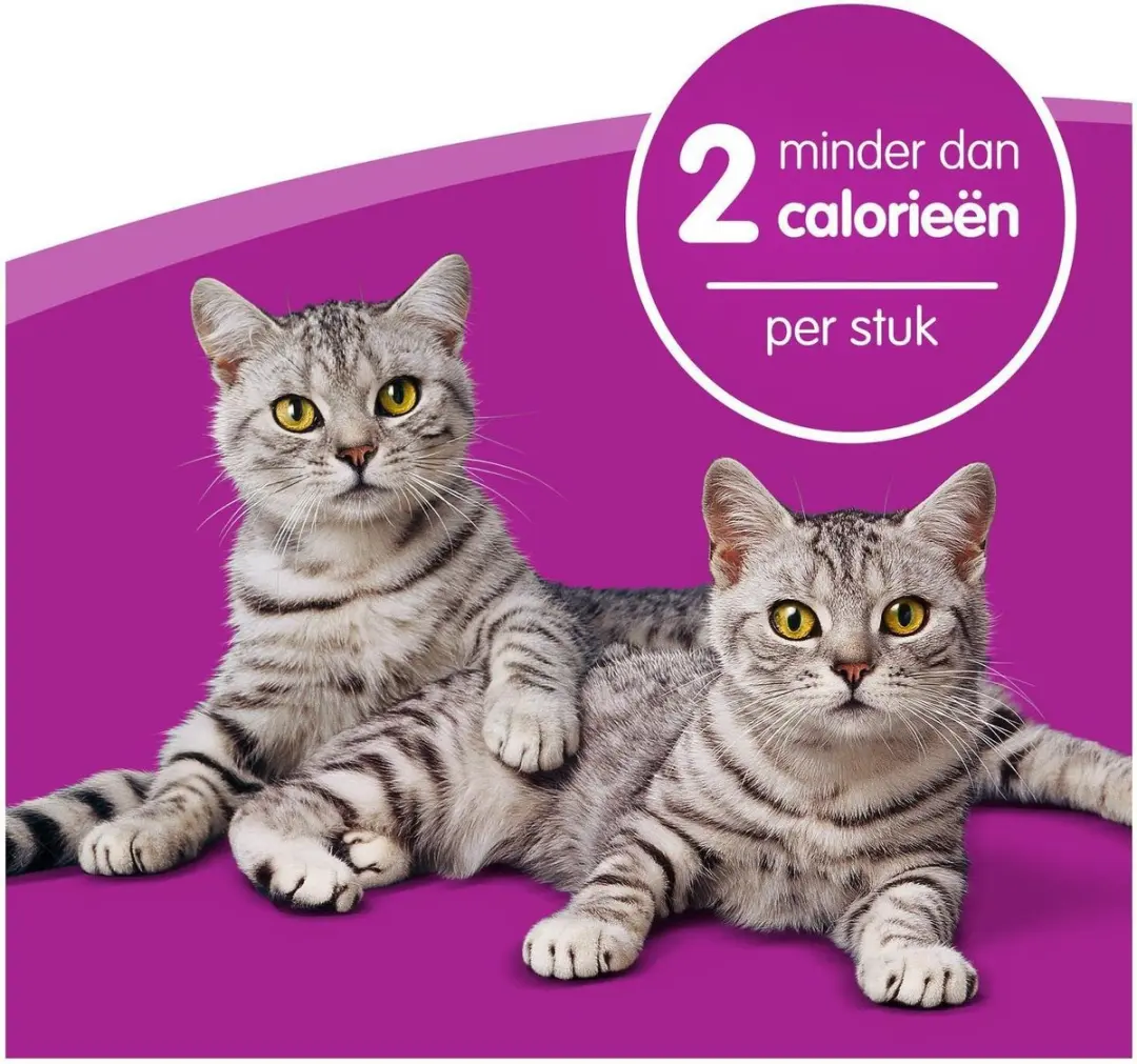 Whiskas Dentabites - Kip