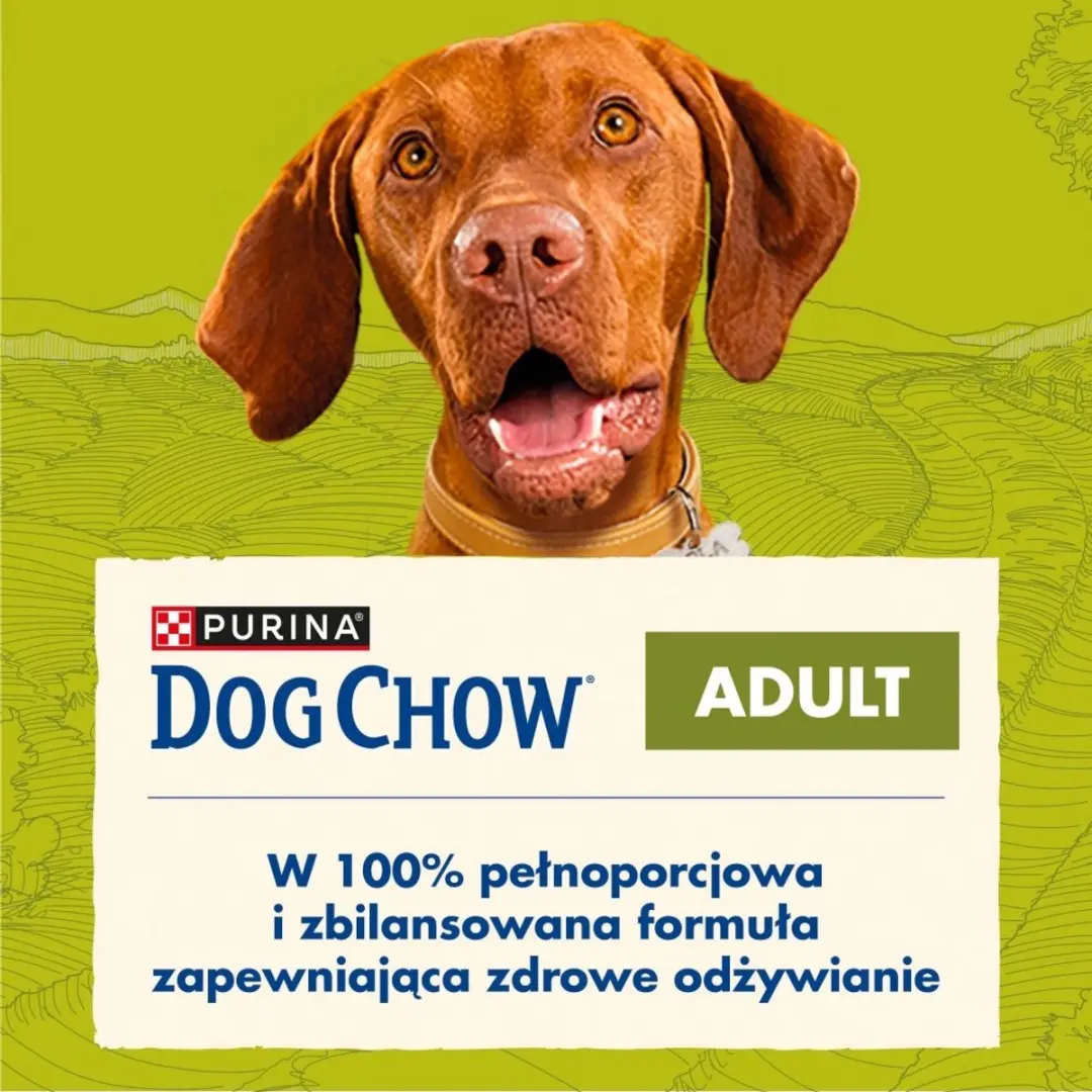 Purina Dog Chow Adult Lam - 1 Zak