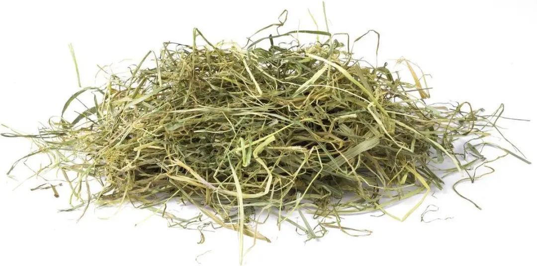 Vitakraft Vita Verde Hooi Brandnetel 500g - afbeelding 6 van 6