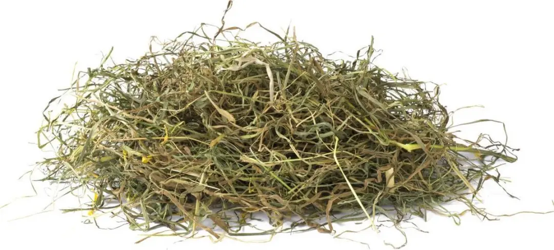 Vitakraft Vita Verde Hooi met Paardenbloem 500g