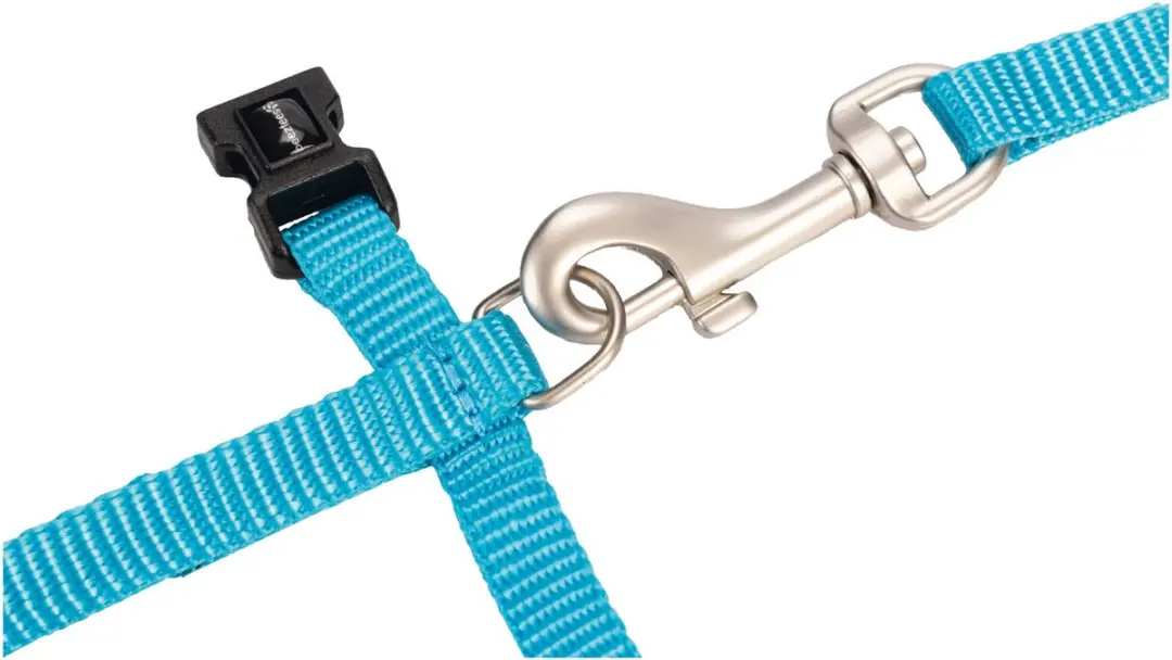 Beeztees Nylon Kattentuig Uni - 27-45cm Lichtblauw