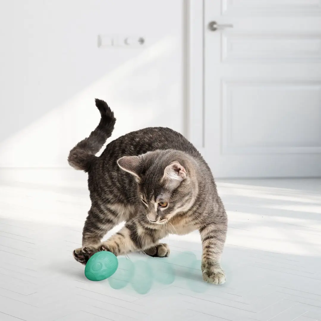 KONG Infused Catnip Egg - Blauw