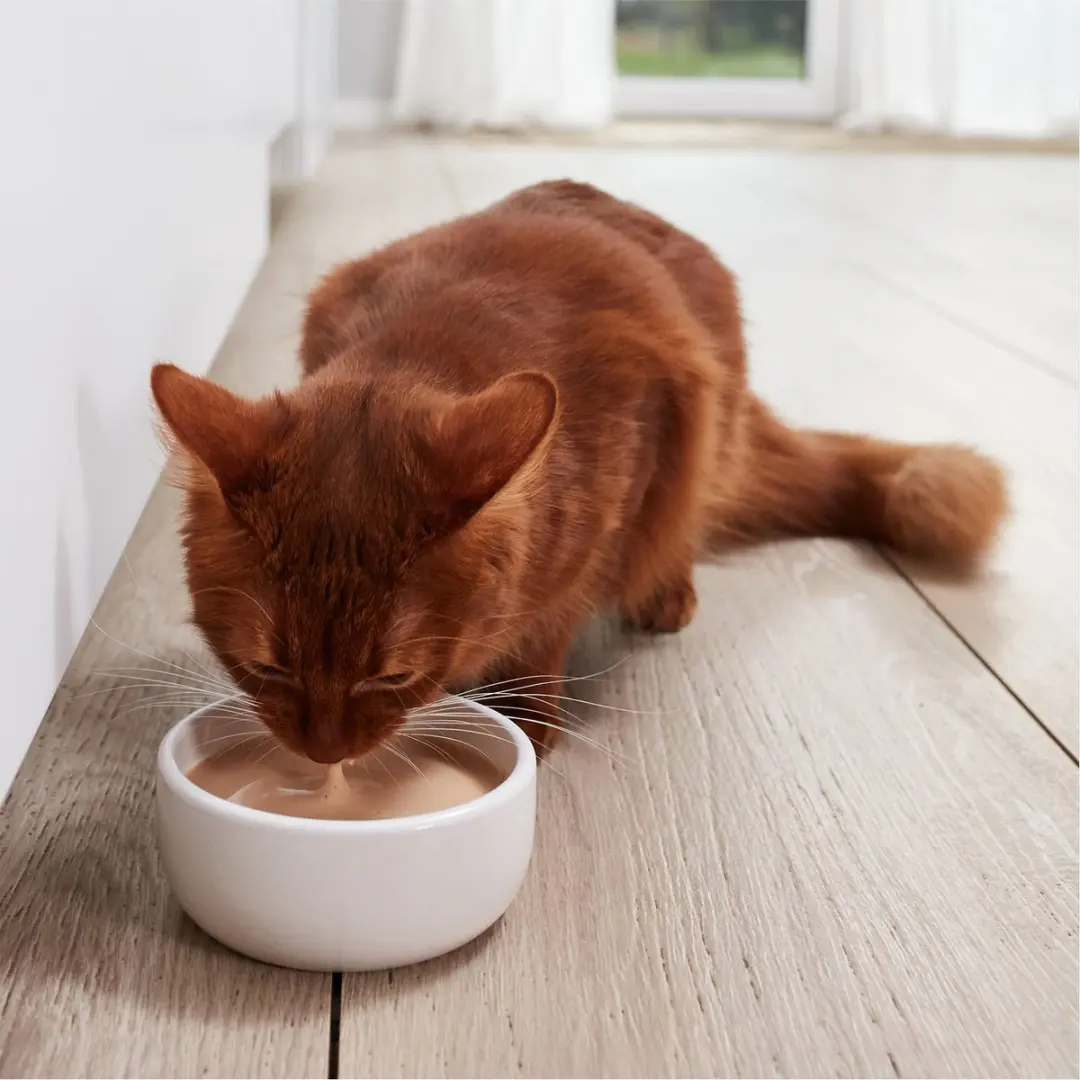 GimCat Melk