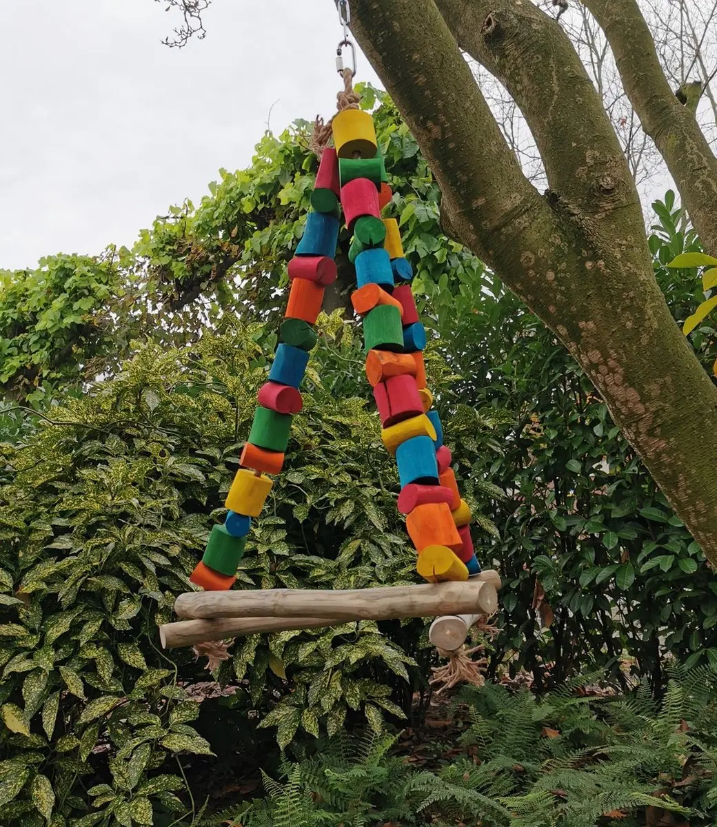 Parrot Toys de luxe Large Triangle Swing