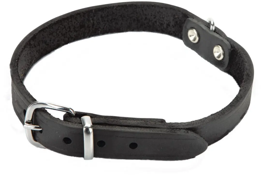 Beeztees Halsband Hond Leer Zwart 43-52cm x 20mm