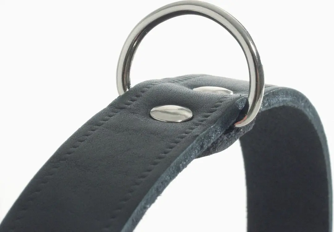 Beeztees Halsband Hond Leer Zwart 43-52cm x 20mm