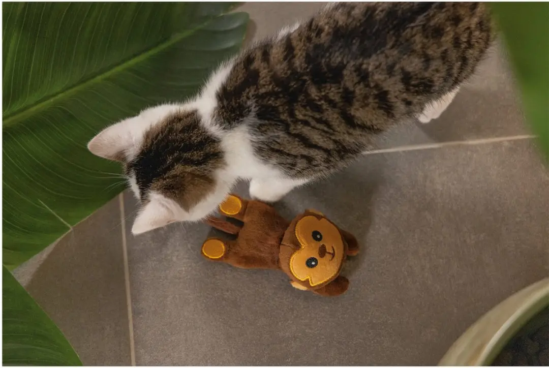 Beeztees Jungle Matabi Aap - Bruin/Geel