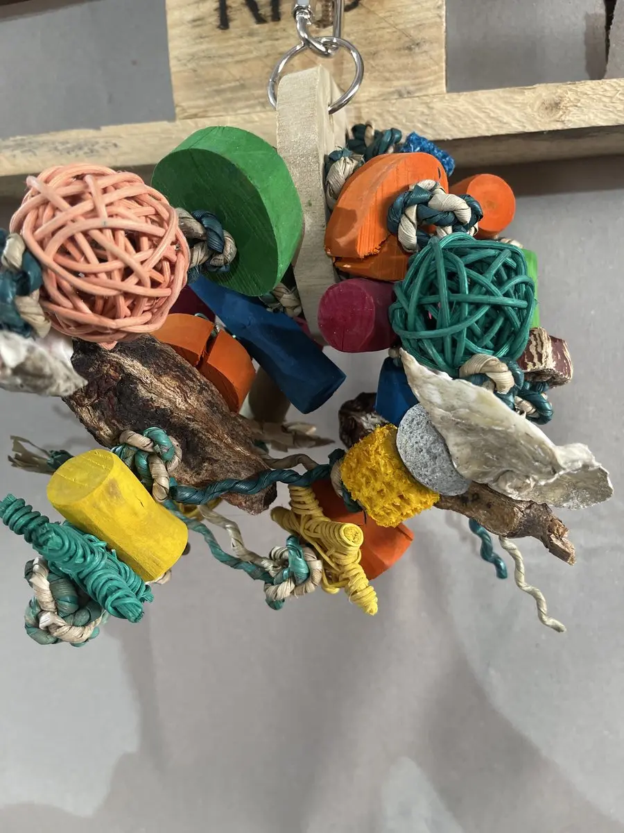 Parrot Toys Deluxe Medium Tangle