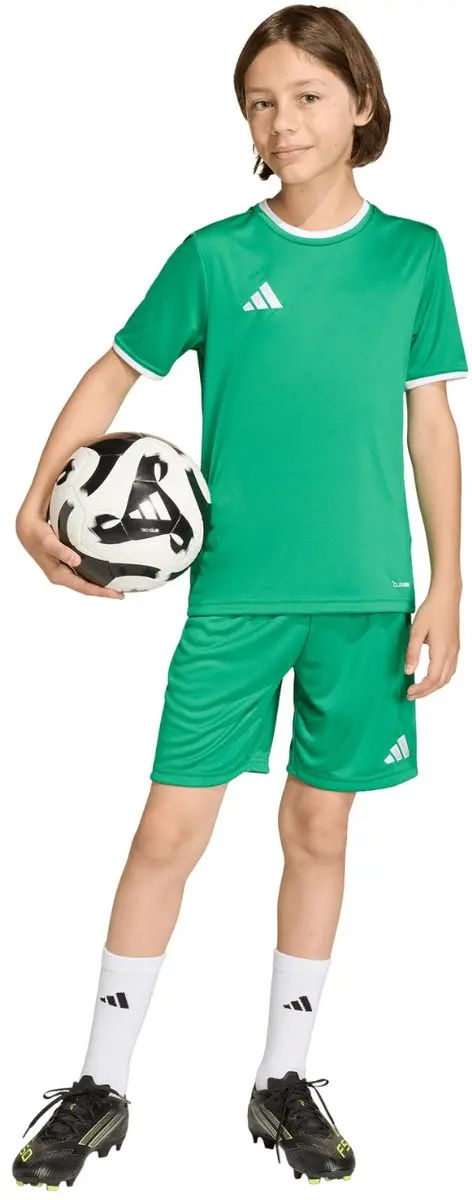 Adidas Entrada 26 Korte Broek - 140 cm - Team Green