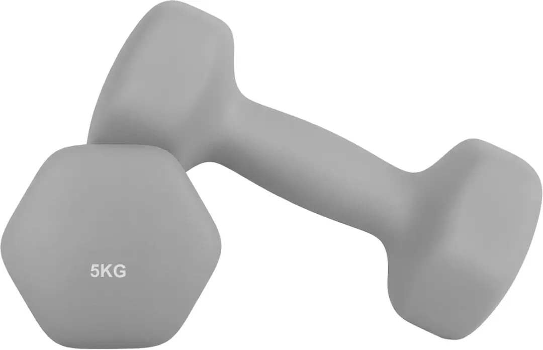Songmics SYL910G01 Hexagon Dumbbellset 2x5kg