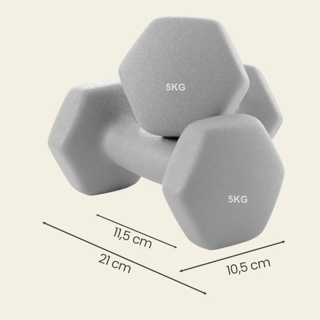Songmics SYL910G01 Hexagon Dumbbellset 2x5kg - Grijs