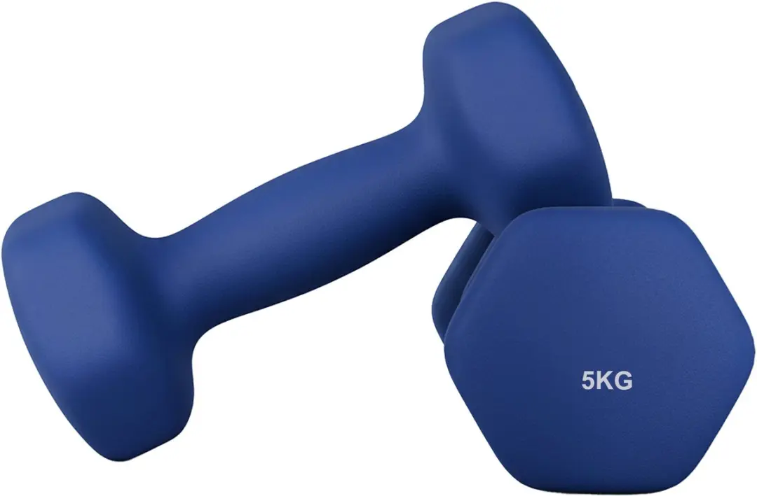 Songmics SYL910Q01 Hexagon Dumbbellset 2x5kg