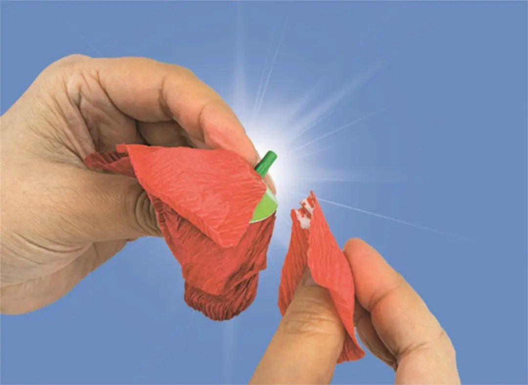 Clementoni Art & Craft Create Your Flowers Poppy - Klaproos Maken Set - 8+