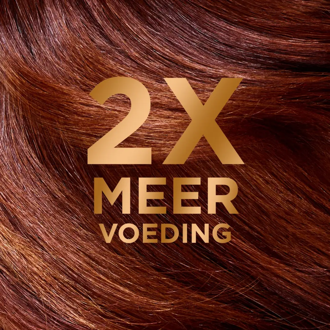 Garnier Loving Blends Argan & Cameliaolie Shampoo - 5x250ml