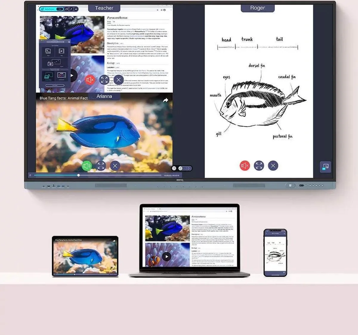 BenQ RM7504 Interactive Whiteboard 75" 4K Touchscreen - Zwart - afbeelding 3 van 3