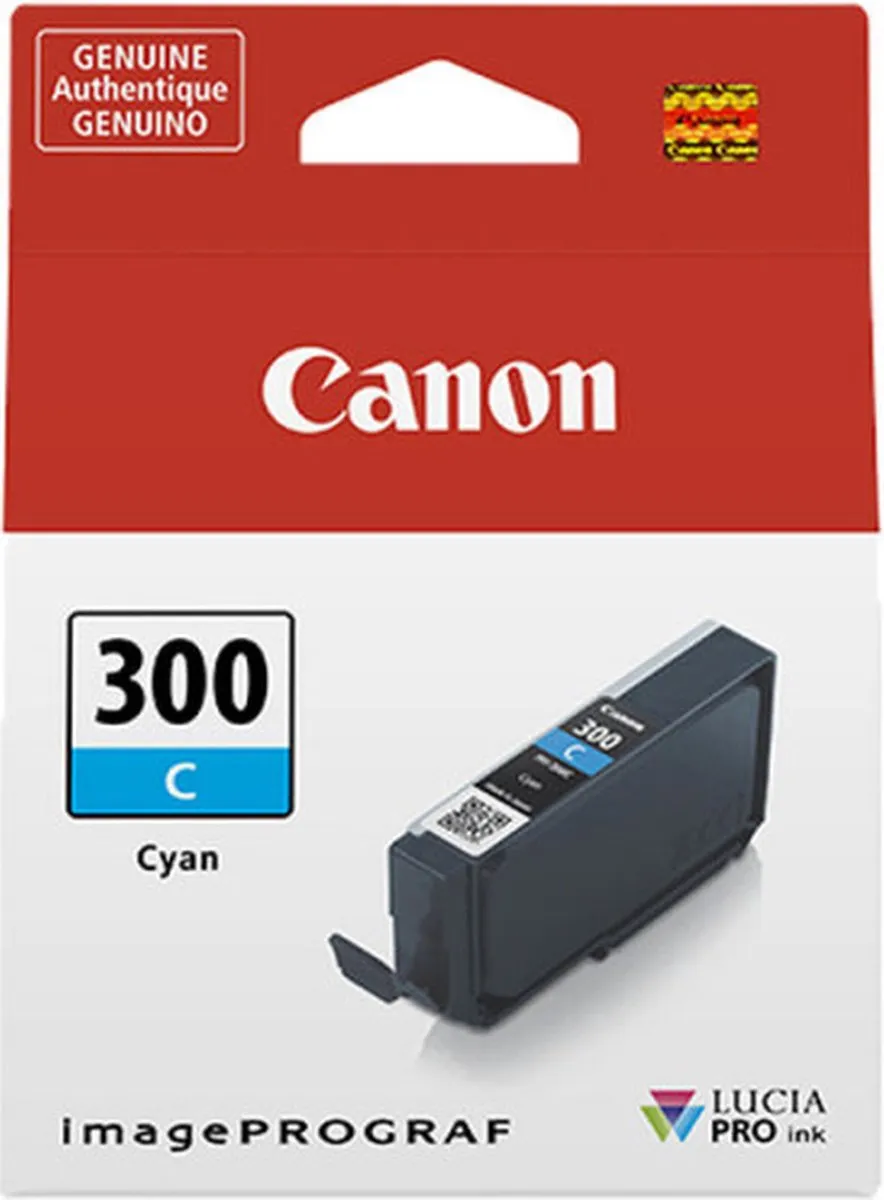 Canon 300 4194C001 Inktcartridge - Standaard formaat