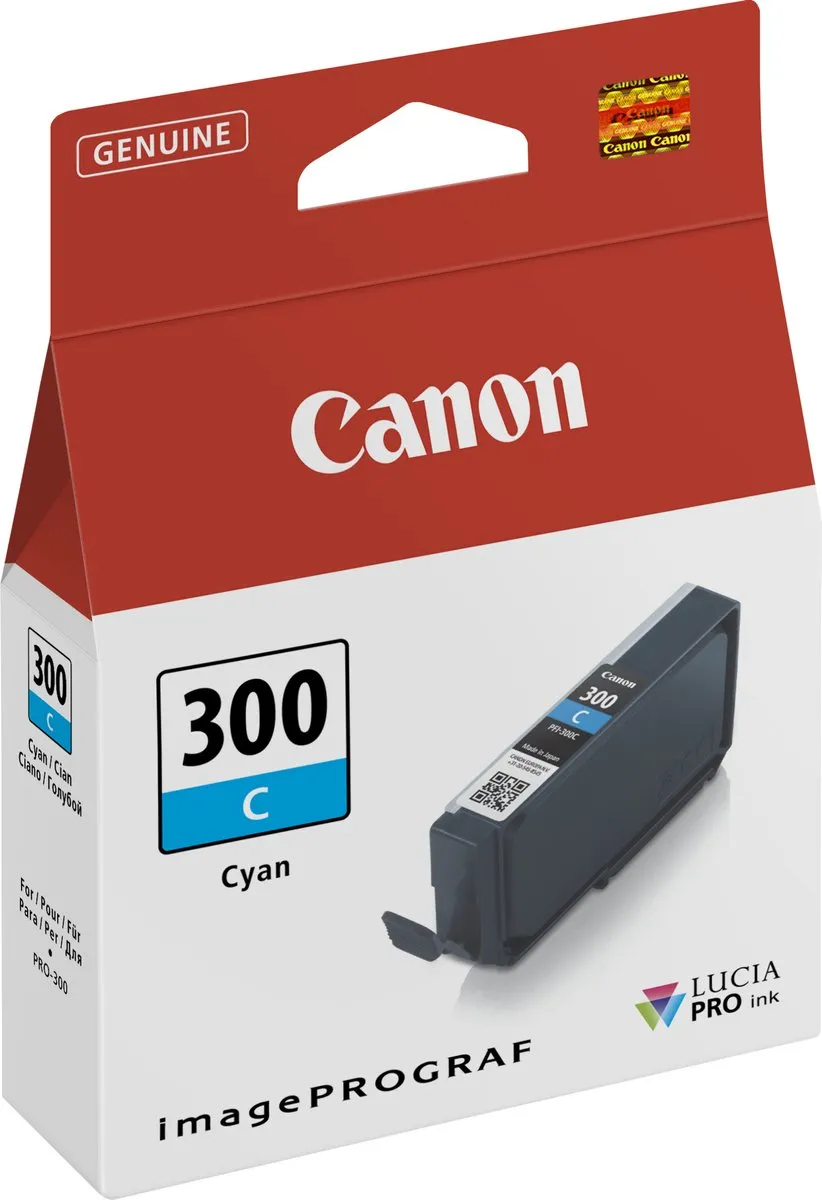 Canon 300 4194C001 Inktcartridge - Standaard formaat