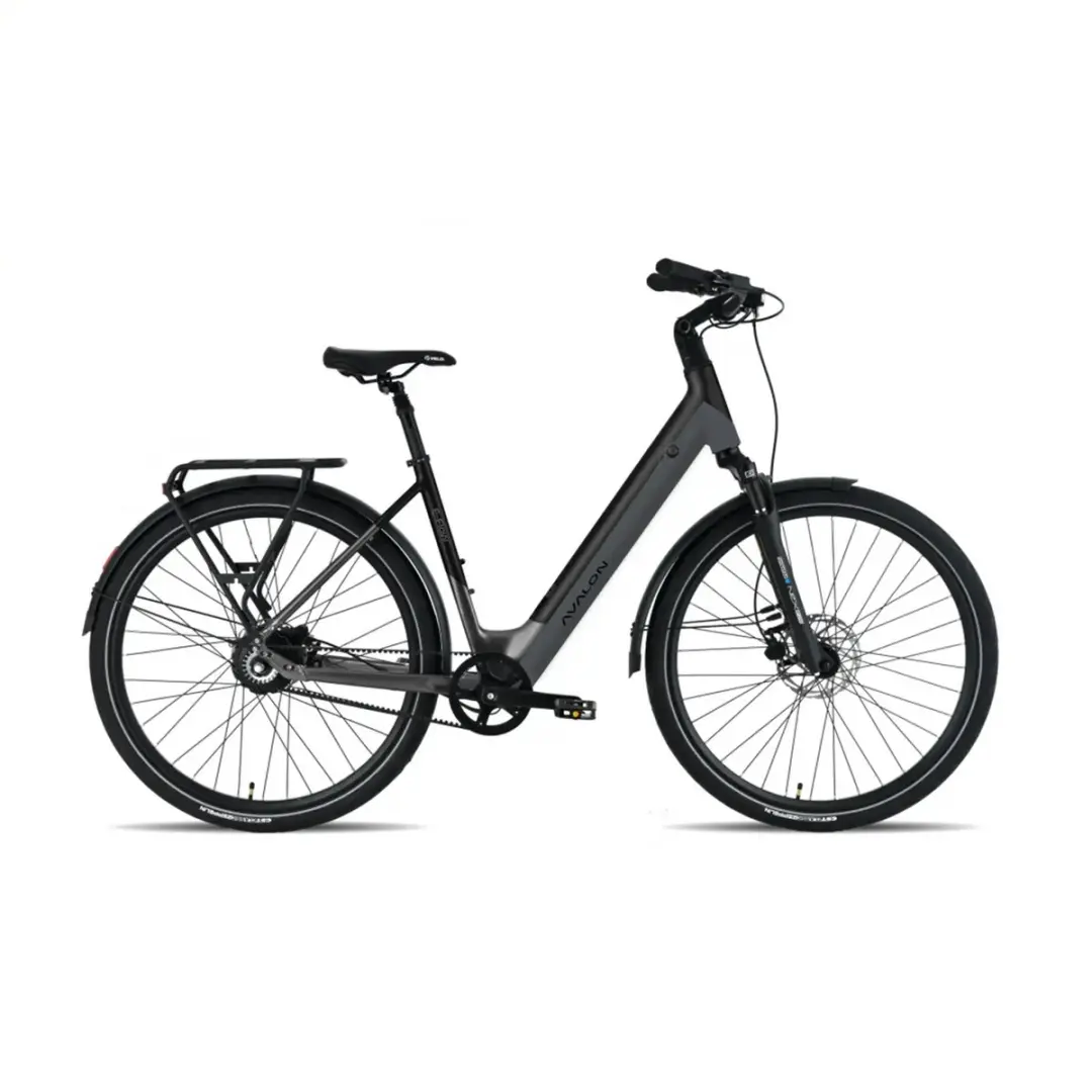 Avalon E-Flow Antraciet Fiets