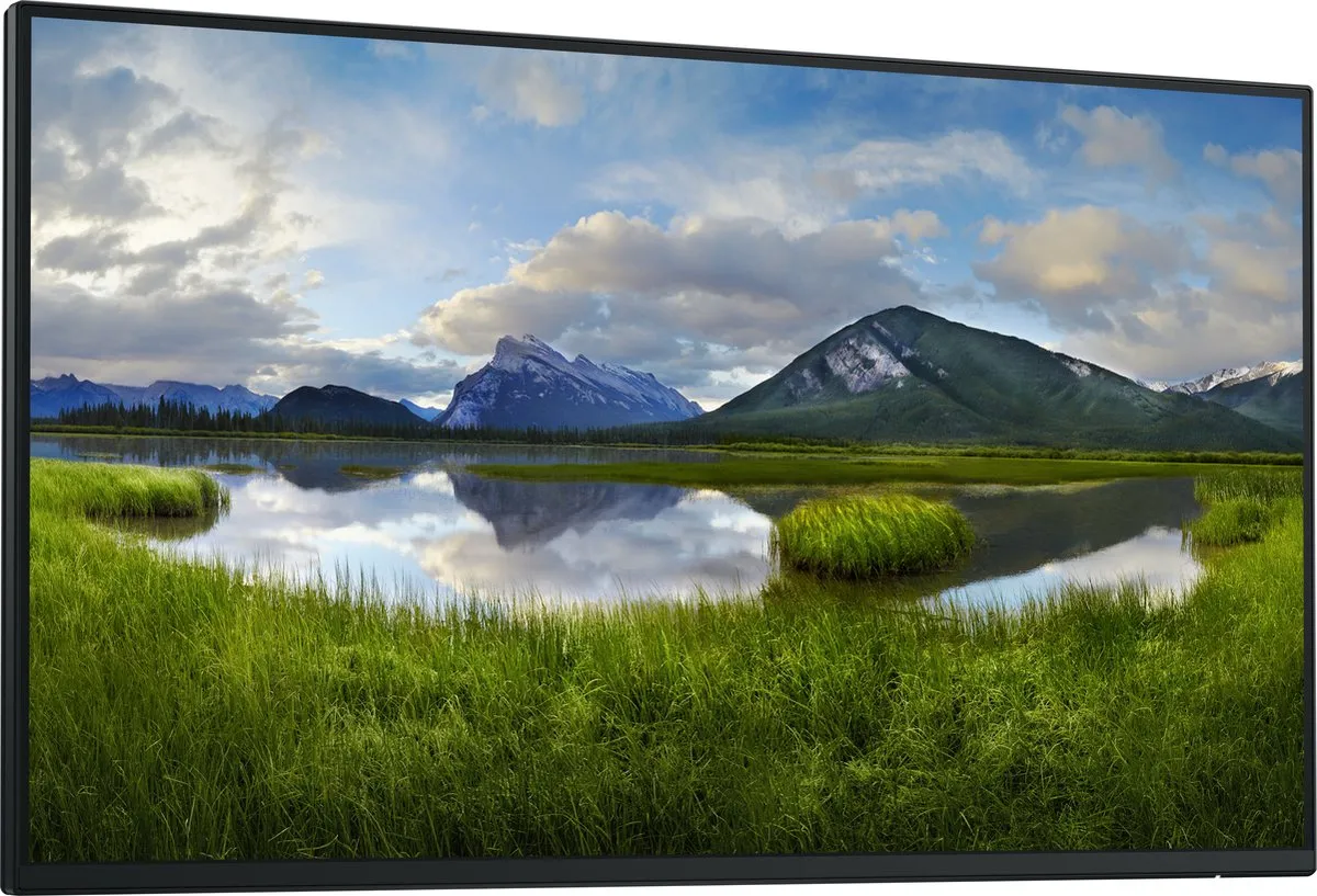 Dell P2425HE USB-C Monitor 24" - 90W