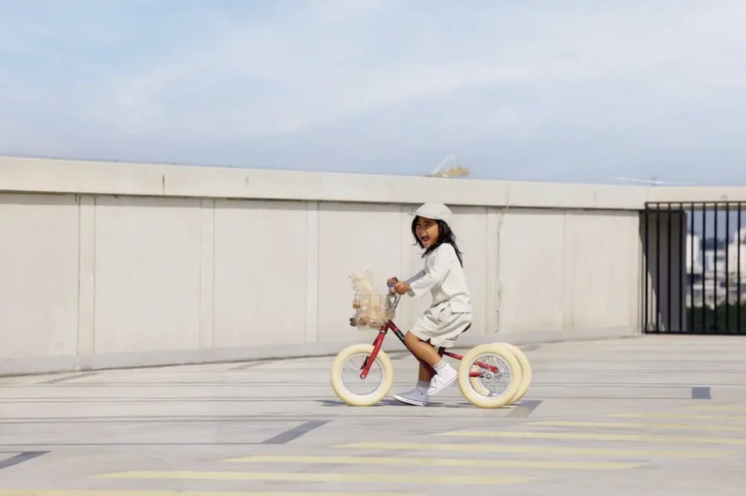 Veloretti Fietsmand Kinderfiets