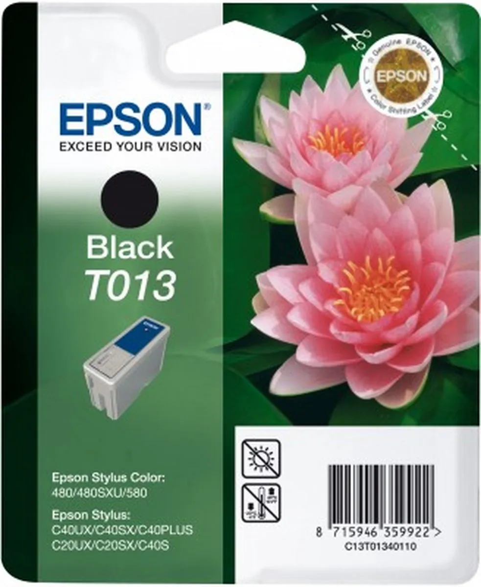 Epson T013 Inktpatroon - Zwart - 300 pagina's