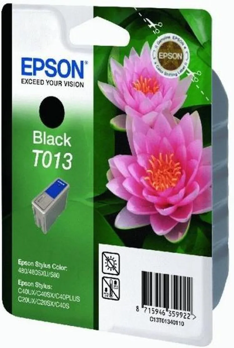 Epson T013 Inktpatroon