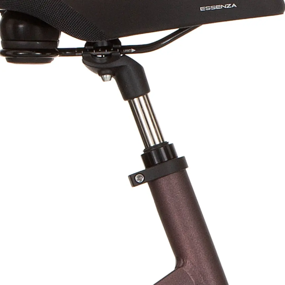 Cortina Zadelpen 27.2x350mm