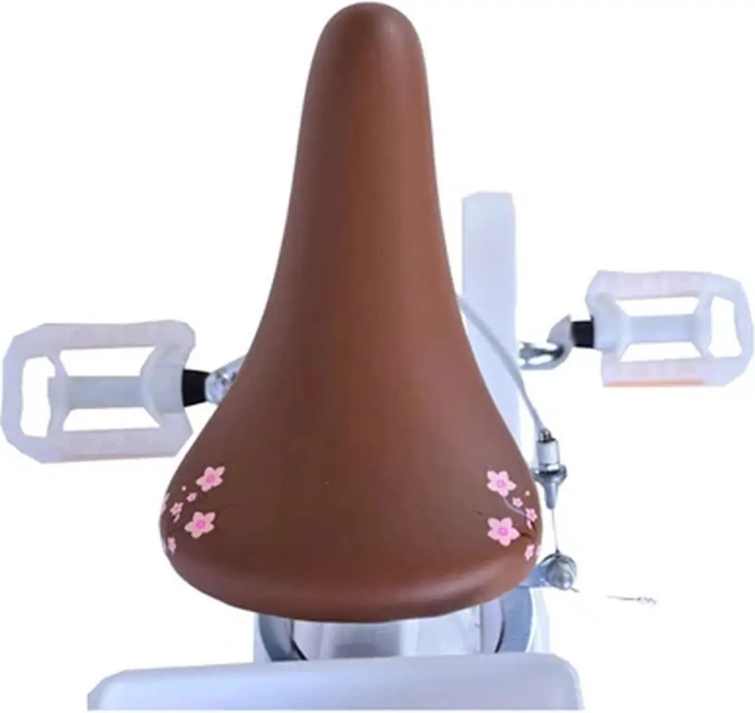 Volare Blossom Kinderfiets 16 inch - Meisjes - Wit