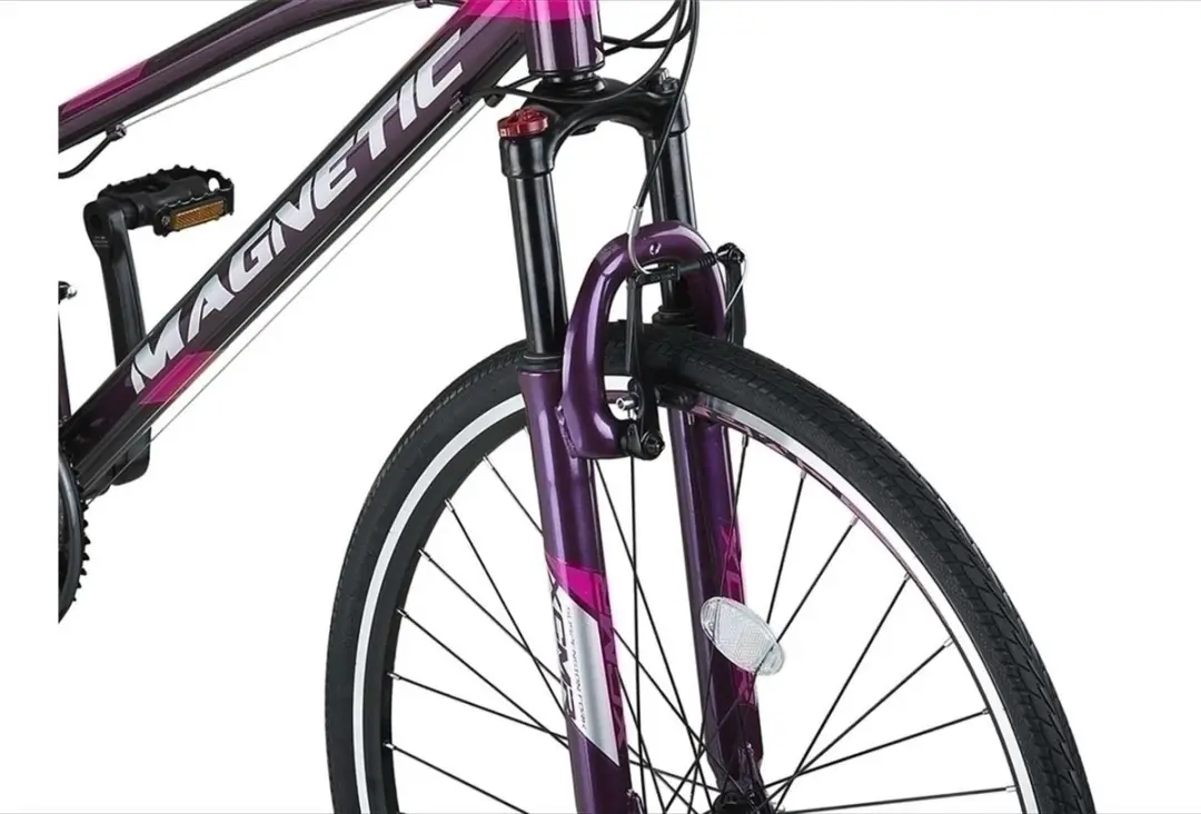 Altec Damesfiets Magnetic 28" 52cm - 21 Versnellingen - Antraciet