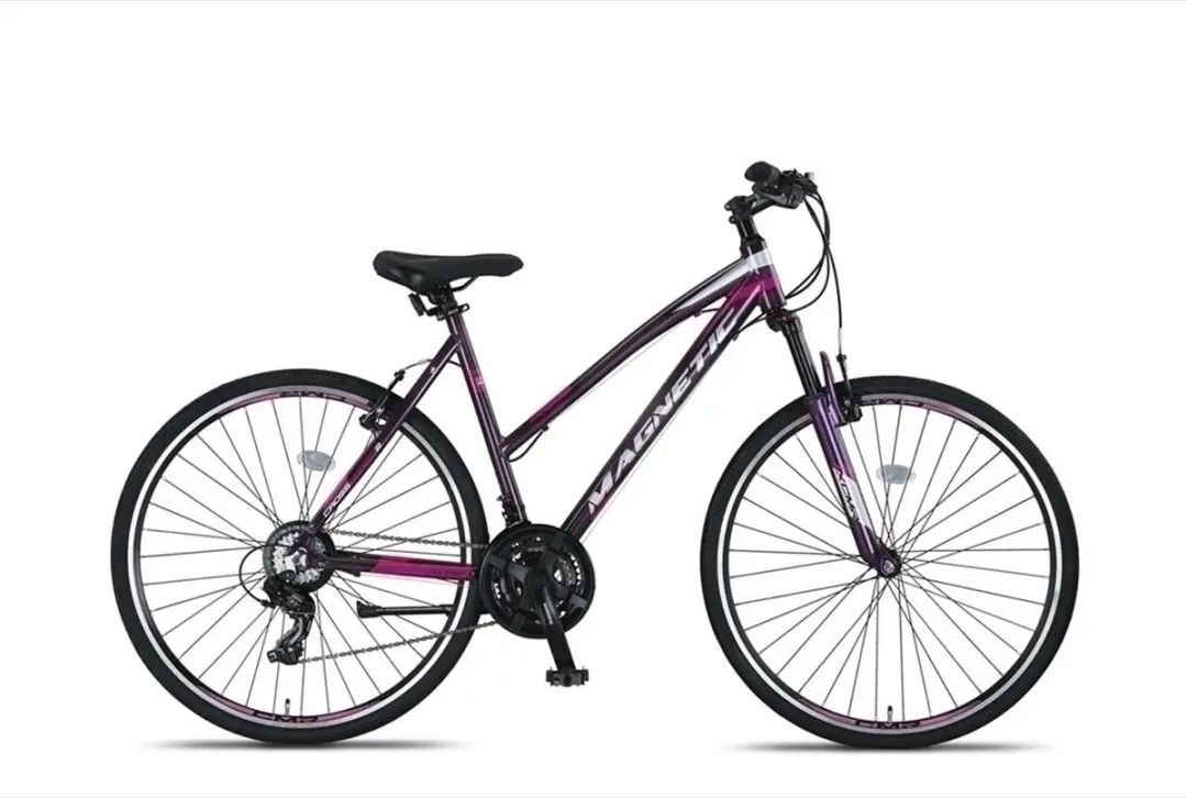 Altec Damesfiets Magnetic 28" 52cm - 21 Versnellingen - Antraciet