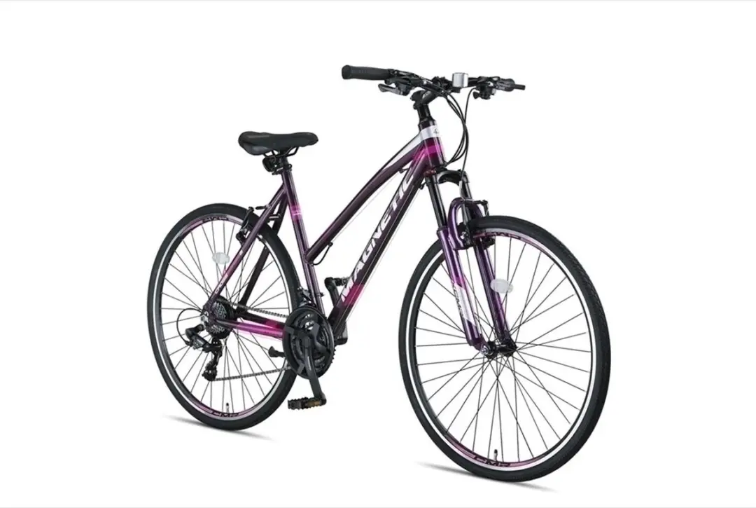 Altec Damesfiets Magnetic 28" 52cm - 21 Versnellingen - Antraciet