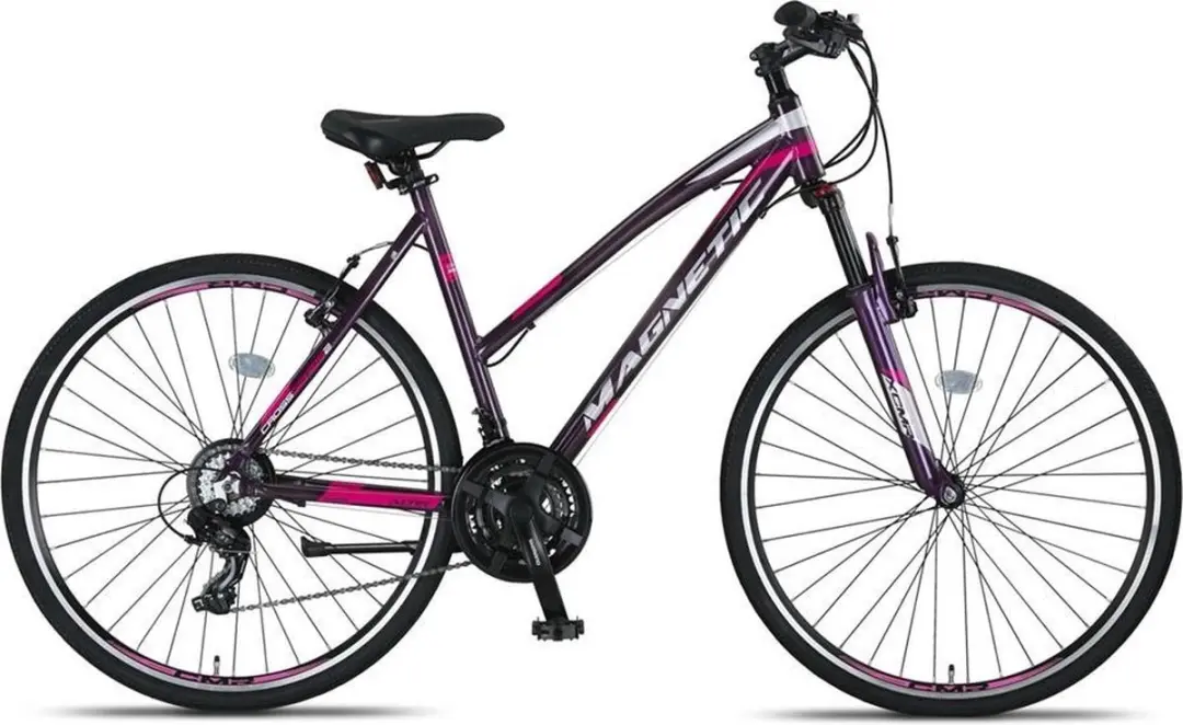 Altec Damesfiets Magnetic 28" 52cm