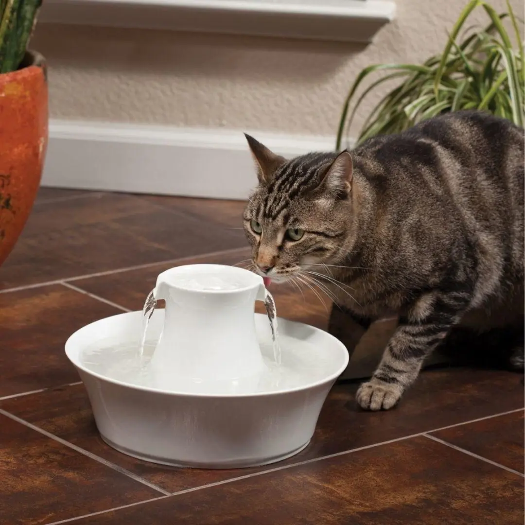 Avalon PetSafe Drinkwell Keramische Drinkfontein 2L - Blauw