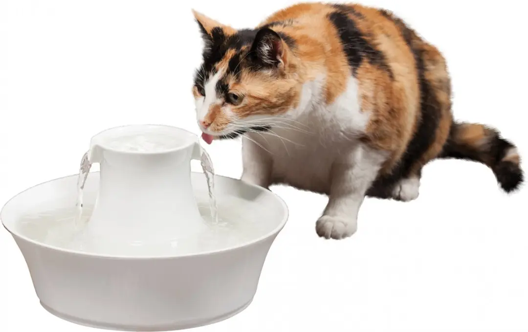 Avalon PetSafe Drinkwell Keramische Drinkfontein 2L - Blauw